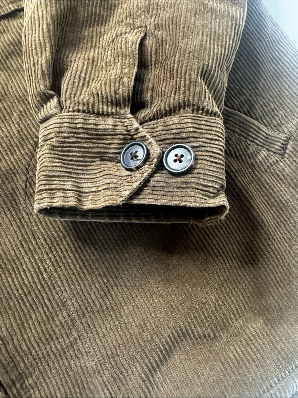 J. Crew stylish brown